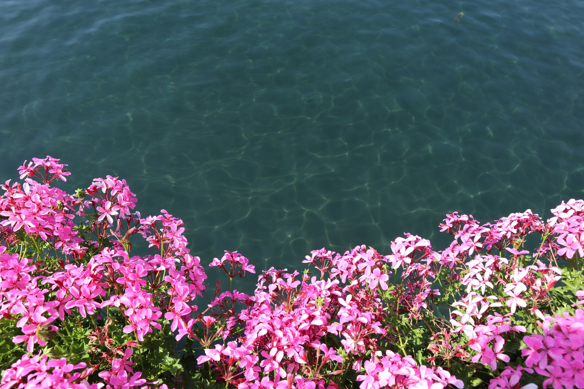 Zulmandriva retraite en France